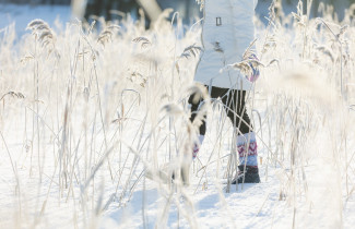 Henkilö kävelee heinikossa jäällä.