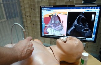Simulaationukke makaa pöydällä ja sairaanhoitaja liikuttaa ultraäänilaitetta. Kuvaruudulla näkyy 3D-mallinnus sekä ultraäänikuva simulaationuken sydämestä.