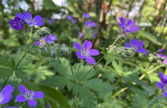 EU-rahoitusohjelmien maakuntakiertue Jyväskylässä 6.5.2026