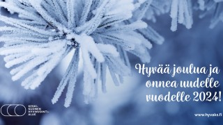 Huurteinen otsa sekä Keski-Suomen hyvinvointialueen joulutervehdys.