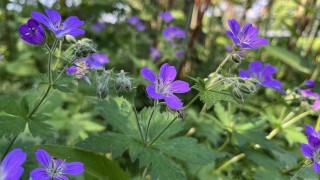 EU-rahoitusohjelmien maakuntakiertue Jyväskylässä 6.5.2026