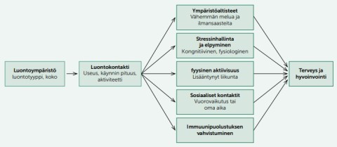 luonnon hyvinvointia ja terveyttä edistävät mekanismit kaaviona