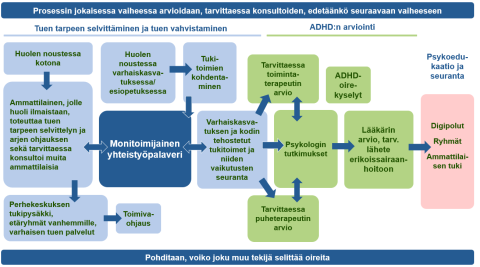 5-6-vuotiaan arviointiprosessi